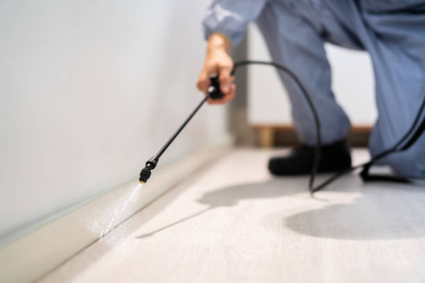 Certified termite inspector examining foundation in Sugarcreek